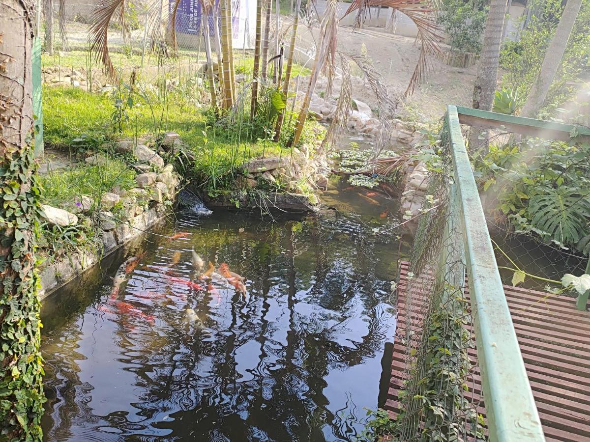 Solar Dos Canarios São Bento do Sapucaí Zewnętrze zdjęcie