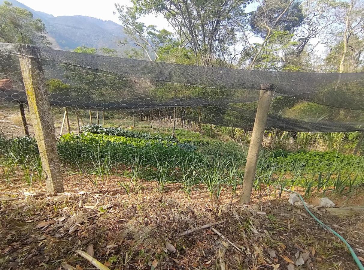 Solar Dos Canarios São Bento do Sapucaí Zewnętrze zdjęcie